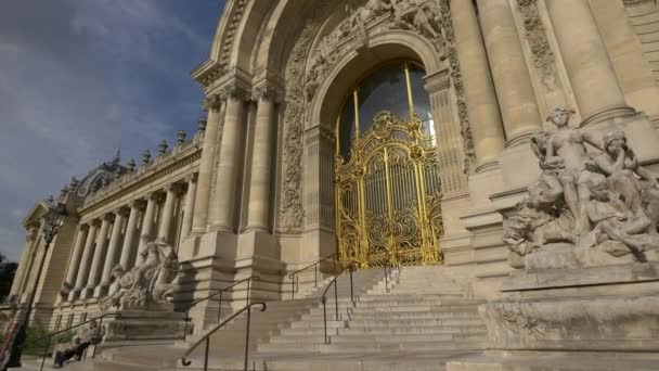 Entrance Petit Palais — Stock Video