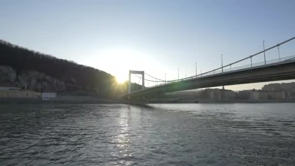 Río Danubio Que Fluye Bajo Puente Elizabeth — Vídeo de stock