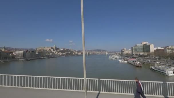 Duna Erzsébet Hídról Nézve — Stock videók