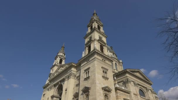 有塔楼的圣士提反大教堂 — 图库视频影像