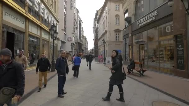 在布达佩斯的Vaci街上散步 — 图库视频影像