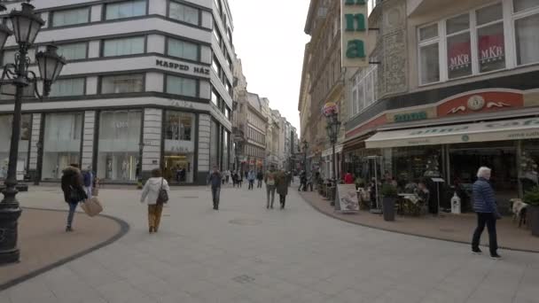 Strada Dello Shopping Budapest — Video Stock