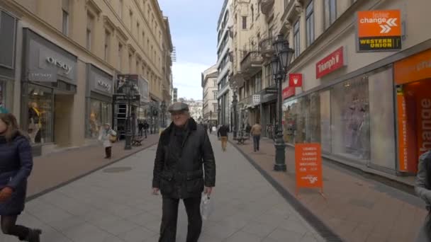 Dükkanları Olan Vaci Caddesi — Stok video
