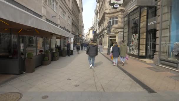 商店街を歩く Vaci Street — ストック動画