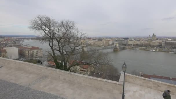 Danube River Chain Bridge — Stock Video