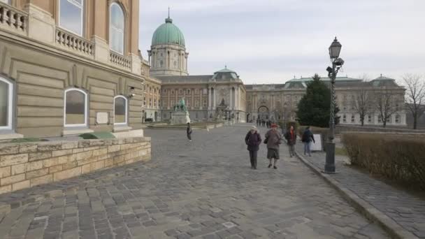Kungliga Slottet Budapest — Stockvideo