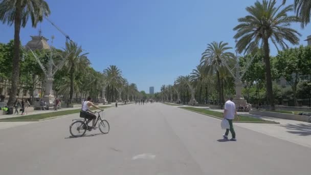 Andar Bicicleta Caminhar Sobre Passeig Lluis Companys Barcelona — Vídeo de Stock