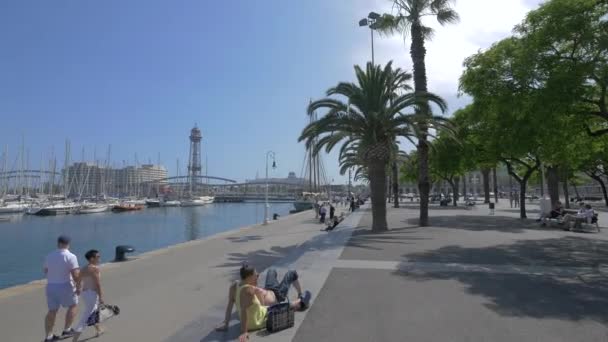 Porto Barcellona — Video Stock