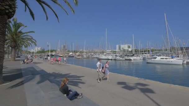 Marcher Reposer Dans Port — Video