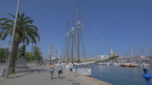 Navio Pailebot Santa Eulalia Atracado Barcelona — Vídeo de Stock