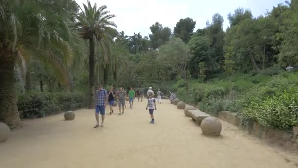 Touristes Dans Parc — Video