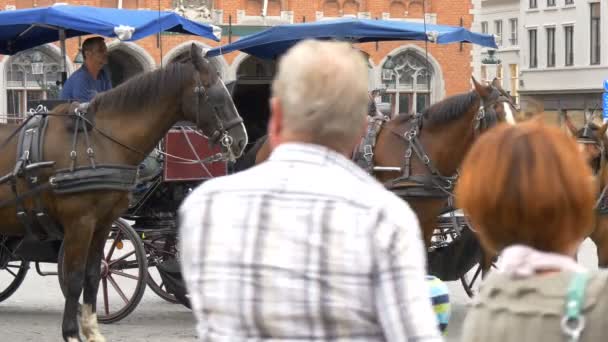 Carros Caballos Markt Square — Vídeo de stock