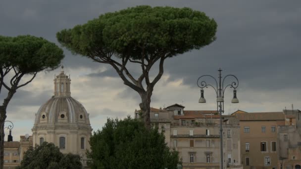 Santa Maria Loreto Dome Trees — 图库视频影像