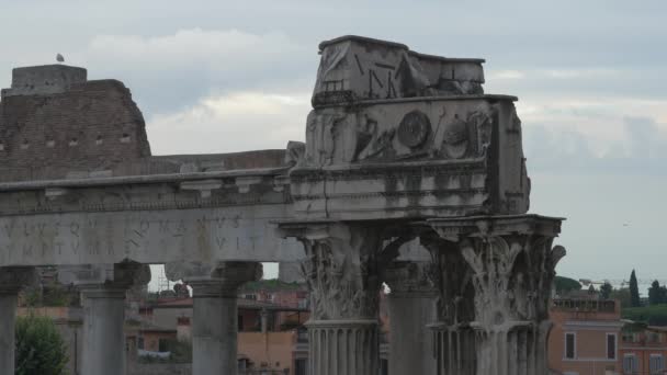 Esculturas Inscrição Latina Colunas — Vídeo de Stock
