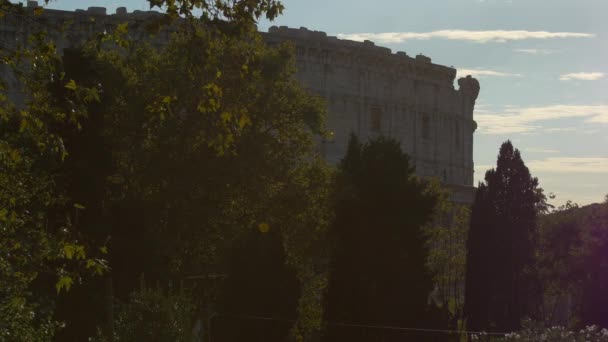 Bäume Und Das Kolosseum Rom — Stockvideo