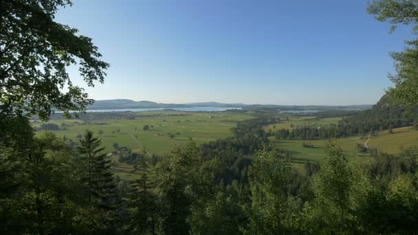 Paysage Avec Plaines Arbres — Video