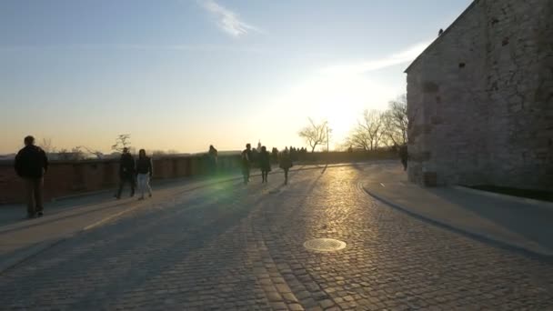Punto Osservazione Vicino Castello Wawel — Video Stock
