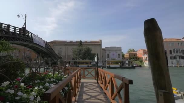 Wooden Pier Close Ponte Dell Accademia — Stock Video