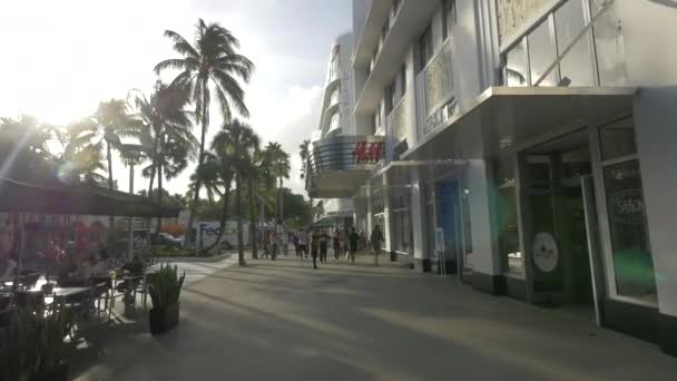 Τουρίστες Πόδια Στην Lincoln Road Στο Μαϊάμι Μπιτς Ηνωμένες Πολιτείες — Αρχείο Βίντεο