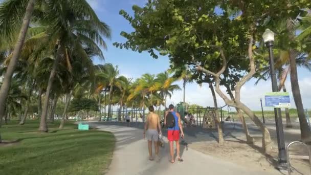 Séta Egy Park Sikátorban Miami Beach Amerikai Egyesült Államok — Stock videók