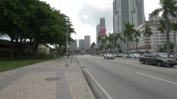 Boulevard Biscayne Miami — Vídeo de stock