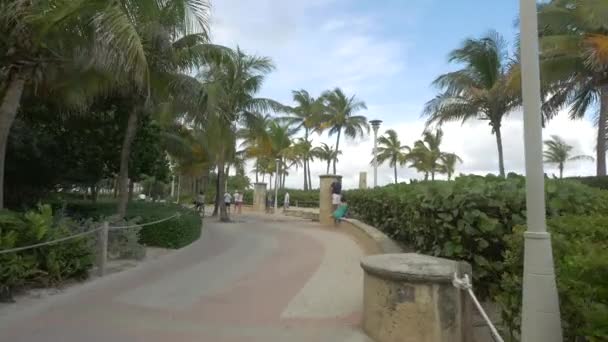 Paved Walkway Miami Beach Estados Unidos América — Vídeo de Stock