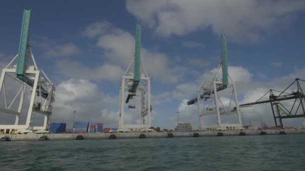 迈阿密港口的货运起重机 — 图库视频影像
