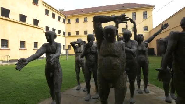 Statuen Erscheinen Museum Der Gedenkstätte Sighet — Stockvideo