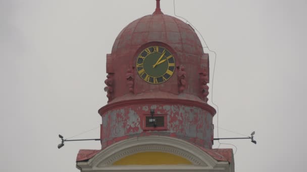 Kırmızı Çatılı Saat Kulesi — Stok video