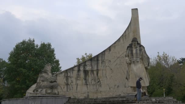 Monument Van Roemeense Soldaat Baia Mare — Stockvideo