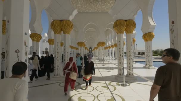 Visita Alla Grande Moschea Dello Sceicco Zayed Abu Dhabi — Video Stock