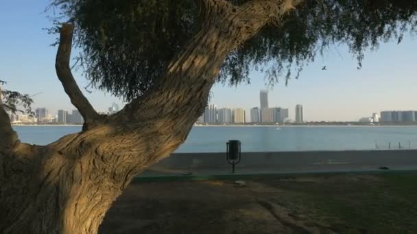 Abu Dhabi Sett Utifrån Breakwater Beach — Stockvideo