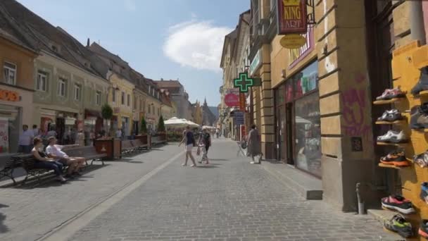 Blick Auf Die Fußgängerzone Republicii — Stockvideo