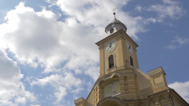Peter Paul Cathedral Tower — Stok video