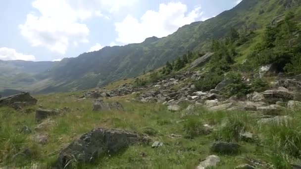 Valley Fagarasbergen Rumänien — Stockvideo