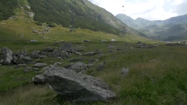 Dolina Górach Fagaras — Wideo stockowe