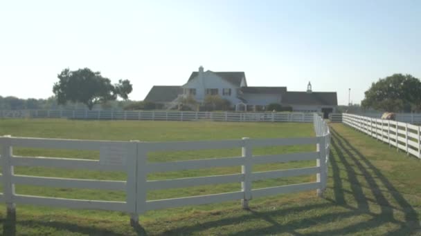 Horse Corrals Spojené Státy Americké — Stock video