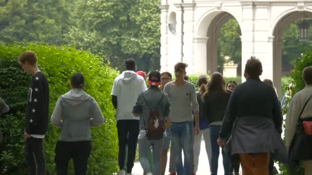 Caminando Callejón Con Arbustos — Vídeos de Stock