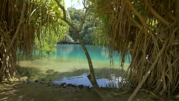 Lagoa Azul Jamaica — Vídeo de Stock