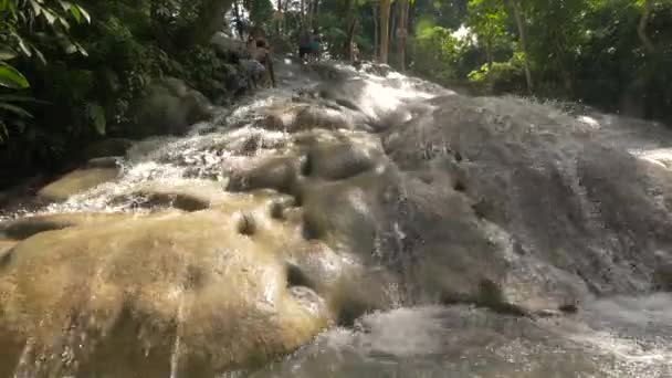 Agua Que Fluye Sobre Las Rocas Dunn River Falls — Vídeos de Stock