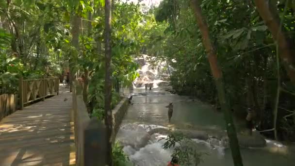 자메이카던 폭포에 — 비디오
