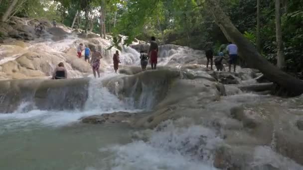 Touristes Sur Les Rochers Dunn River Falls — Video