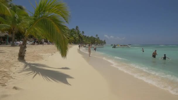 Bord Mer République Dominicaine — Video