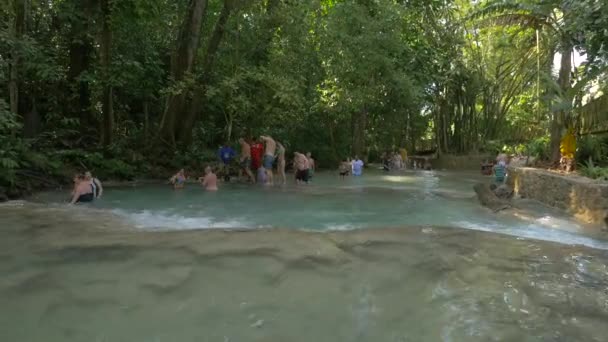 Beleugrik Vízbe Dunn River Falls Jamaica — Stock videók
