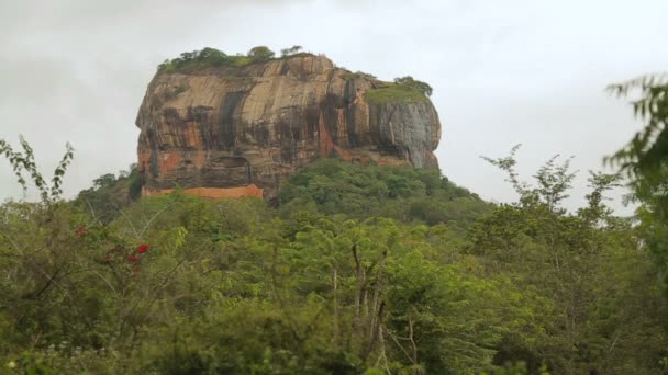 Der Löwenfelsen Sri Lanka — Stockvideo