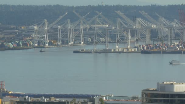 Harbor Island Seattle Vereinigte Staaten Von Amerika — Stockvideo