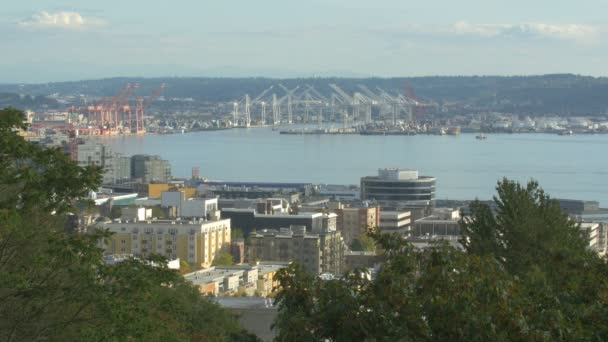 从远处看到的西雅图港 — 图库视频影像