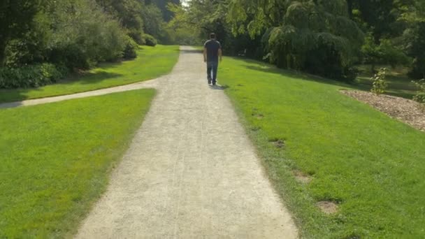 Uomo Che Cammina Vicolo Del Parco — Video Stock