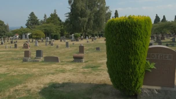 Mezarlıkta Haçlar — Stok video