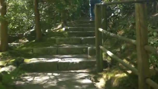 Πόδια Που Περπατούν Στις Σκάλες — Αρχείο Βίντεο